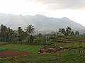 2007 07 13 BALI 059